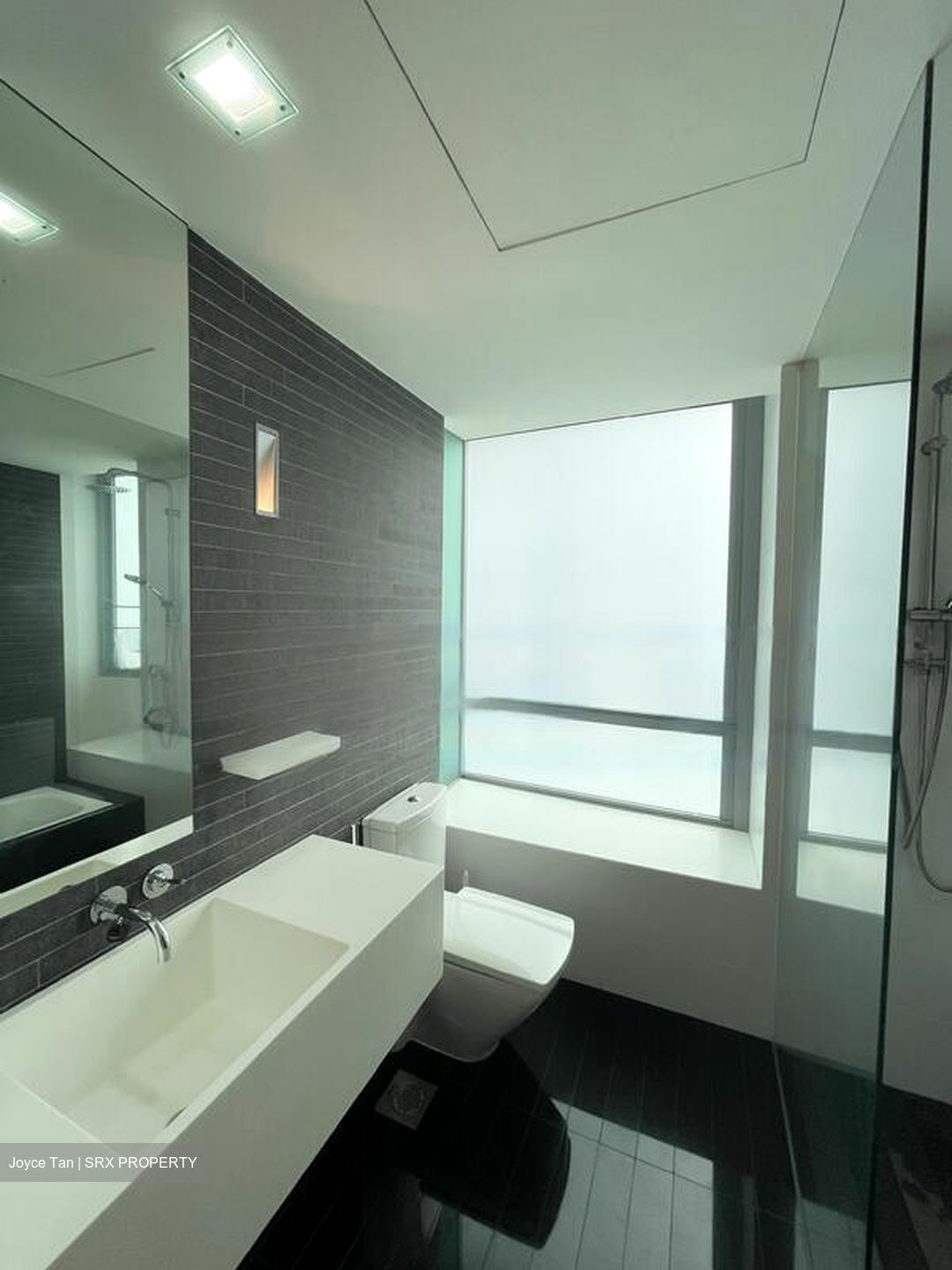 Park Infinia At Wee Nam (D11), Condominium #570203581